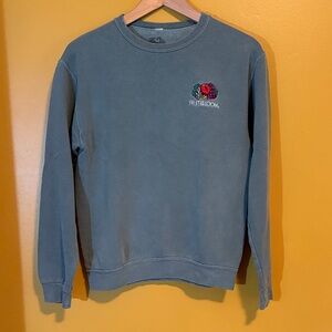 Fruit of the Loom Dusty Blue Crewneck Sweatshirt with Small Chest Logo